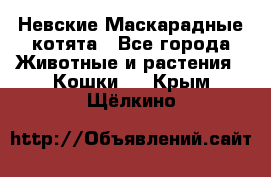 Невские Маскарадные котята - Все города Животные и растения » Кошки   . Крым,Щёлкино